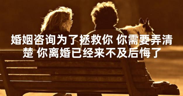 婚姻咨询为了拯救你 你需要弄清楚 你离婚已经来不及